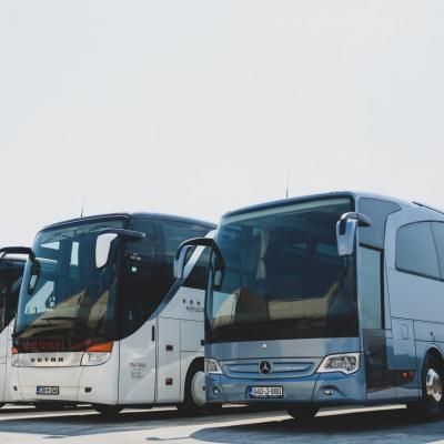 Toni Travel 2020 1