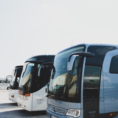 Toni Travel 2020 2